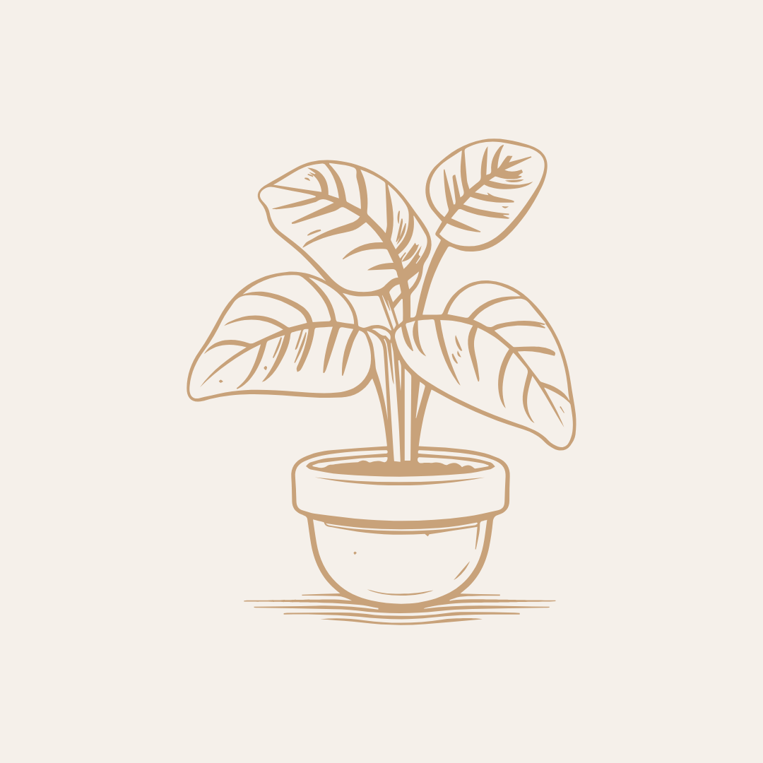 Organização & Casa